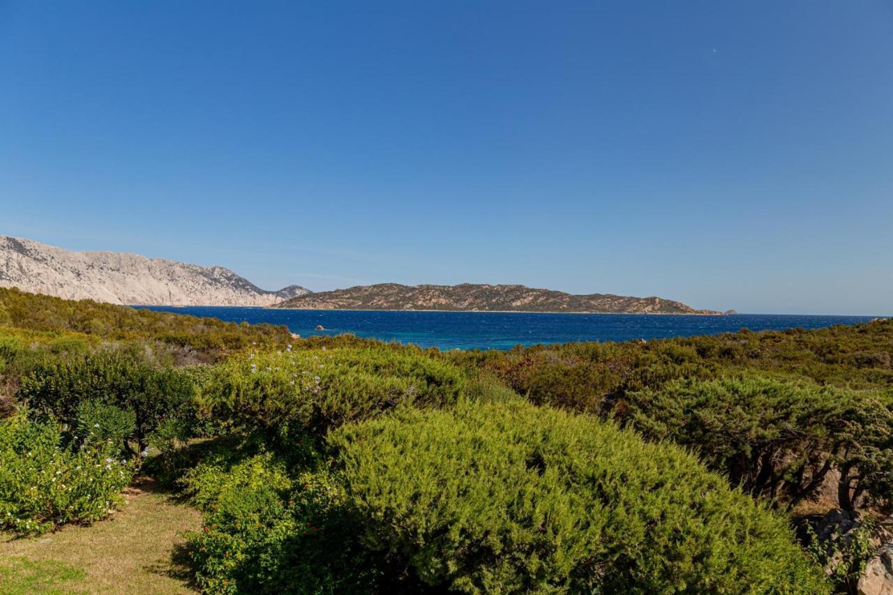 Appartamento Cala Paradiso San Teodoro  Eksteriør bilde